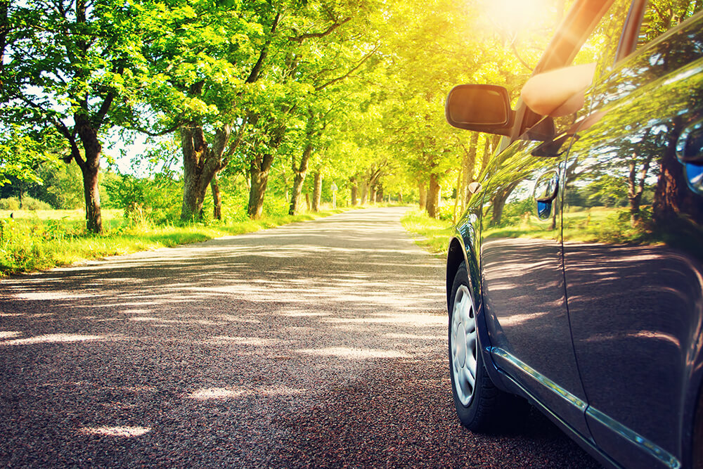 Auto su viale alberato